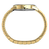 Timex Men's EASY READER Gold-tone Expansion Band Watch TW2W52000